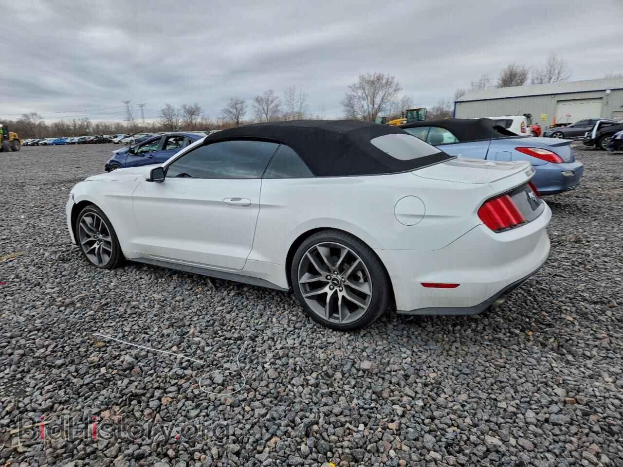 2017 FORD ALL Models - VIN: 1FATP8UH8H5294842 - Photo 2