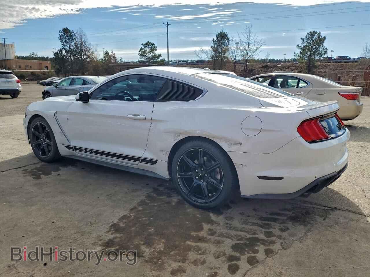2019 FORD ALL Models - VIN: 1FA6P8TH5K5203774 - Photo 2