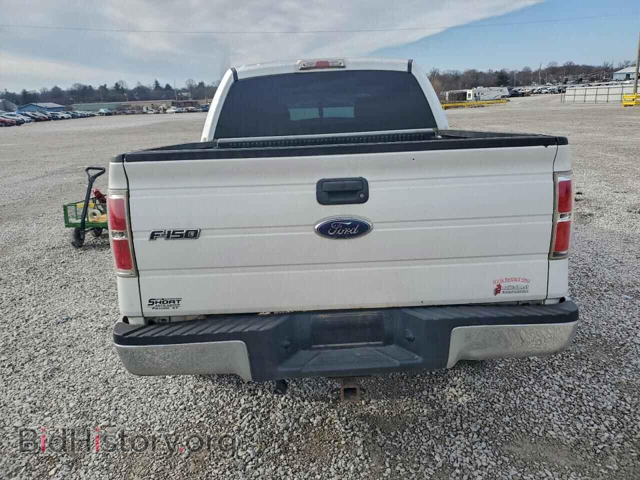 2010 FORD F-150 - VIN: 1FTEW1E85AFA01149 - Фото 6