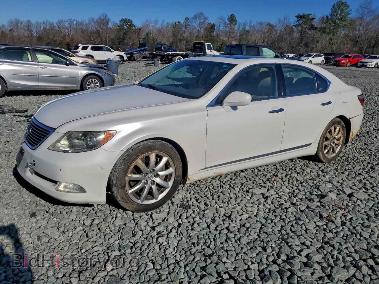Фотография JTHBL46F775051123 - LEXUS LS460 2007