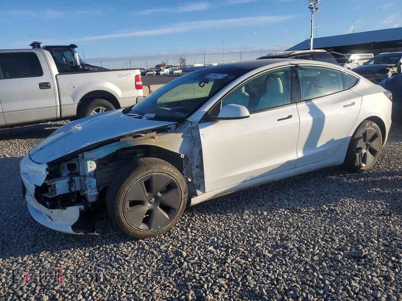 Photo 5YJ3E1EB2MF999372 - TESLA MODEL 3 2021