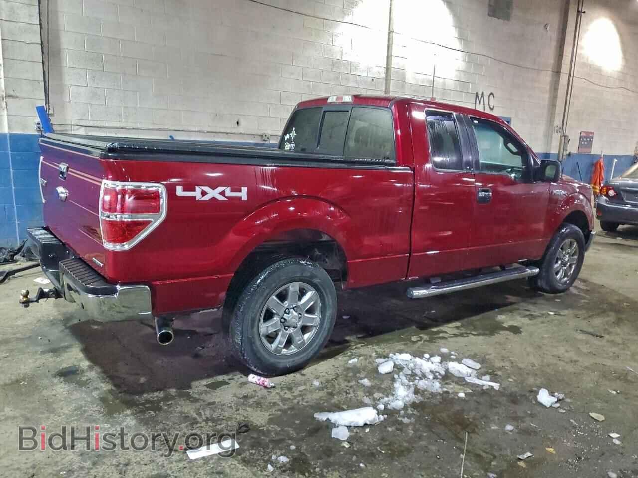 2013 FORD F-150 - VIN: 1FTFX1EFXDFA14497 - Фото 3