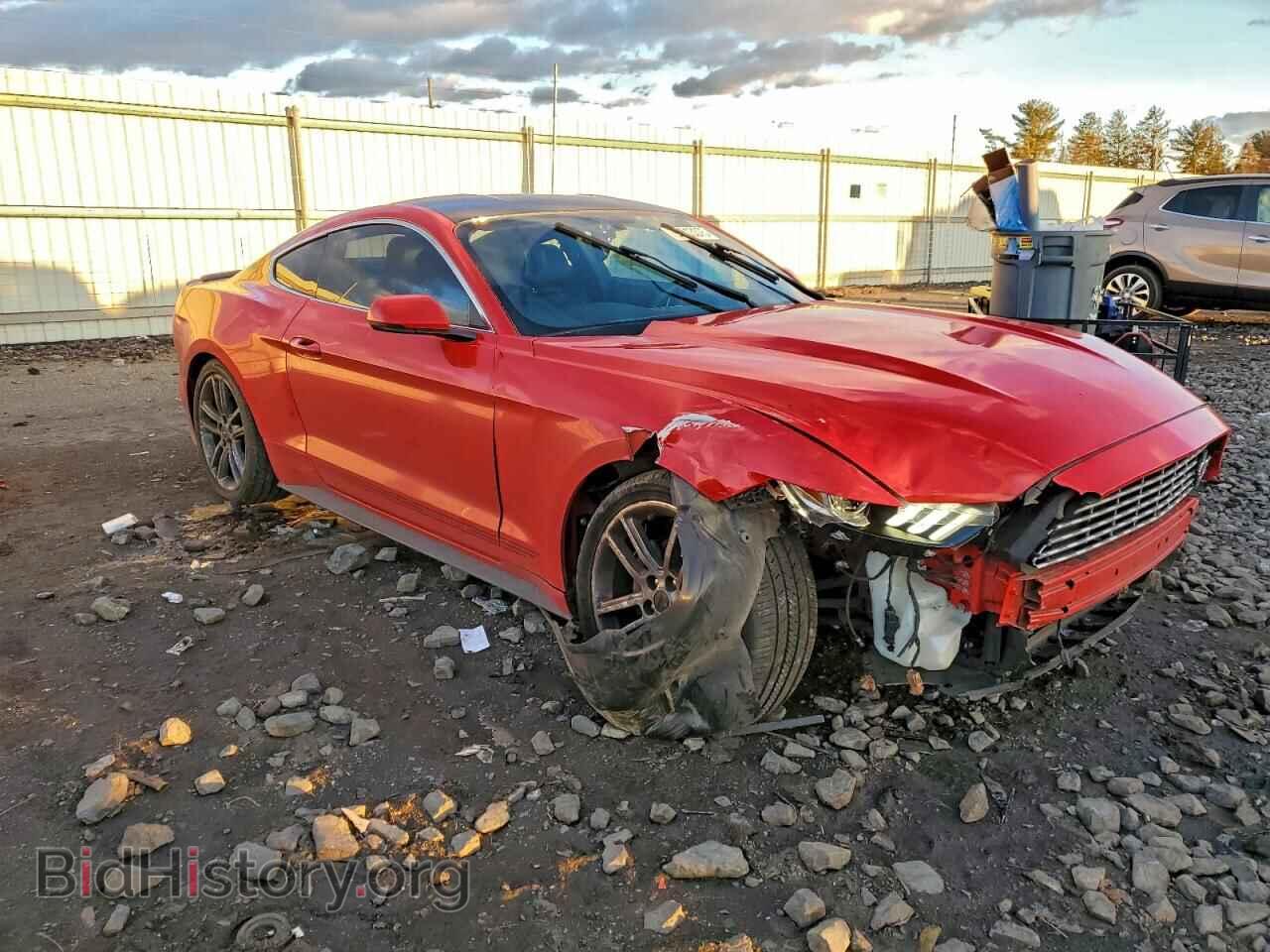 2017 FORD ALL Models - VIN: 1FA6P8THXH5208834 - Photo 4