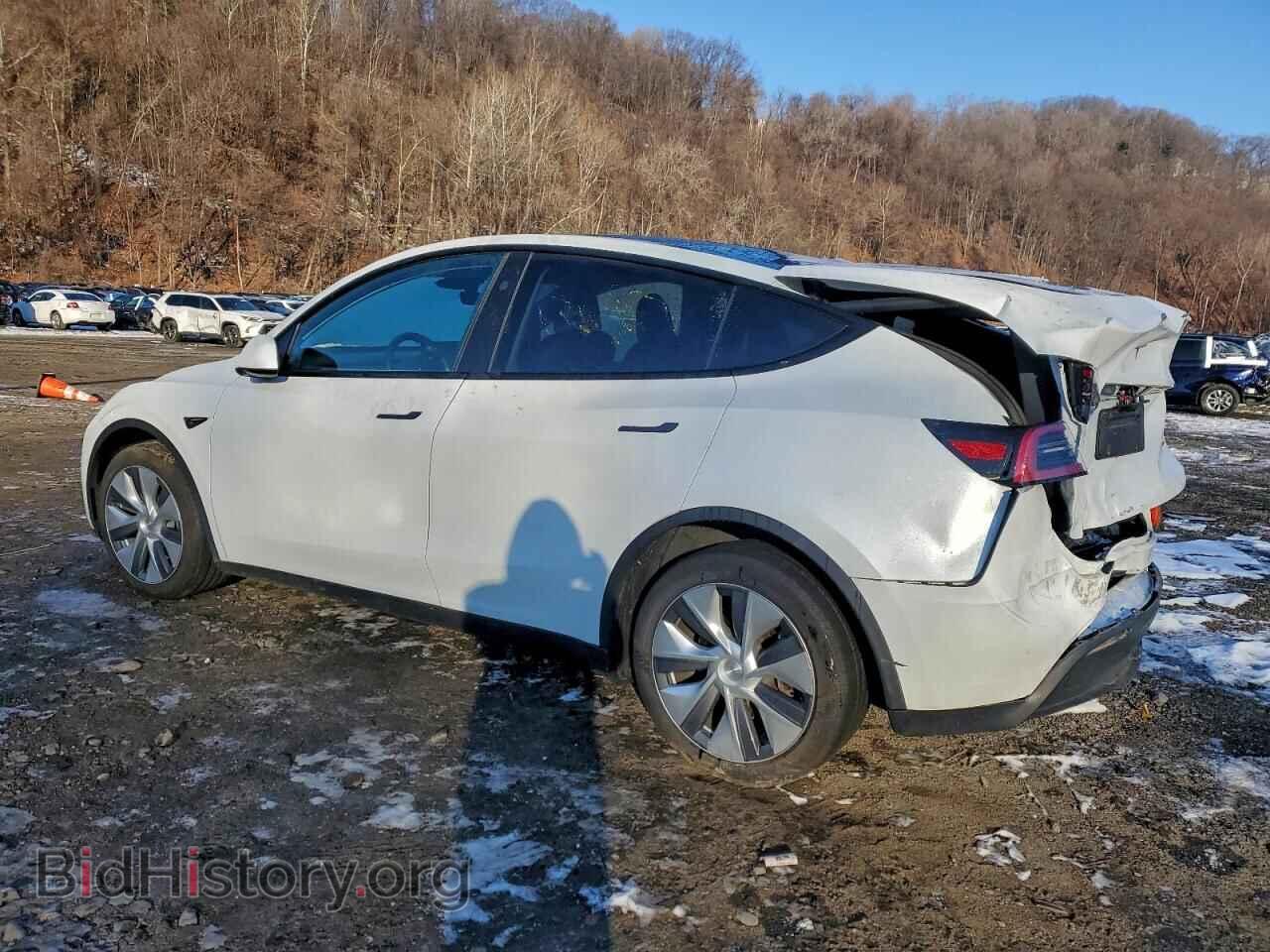 2024 TESLA MODEL Y - VIN: 7SAYGDEE0RF084333 - Фото 2