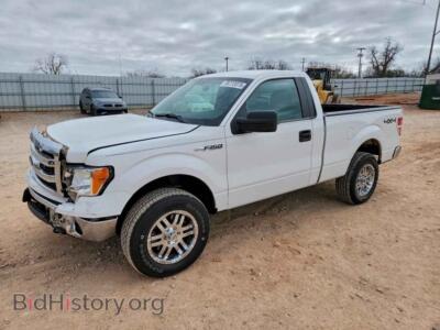 2013 Ford ALL MODELS, белый — VIN 1FTMF1EF8DFC19309, Copart