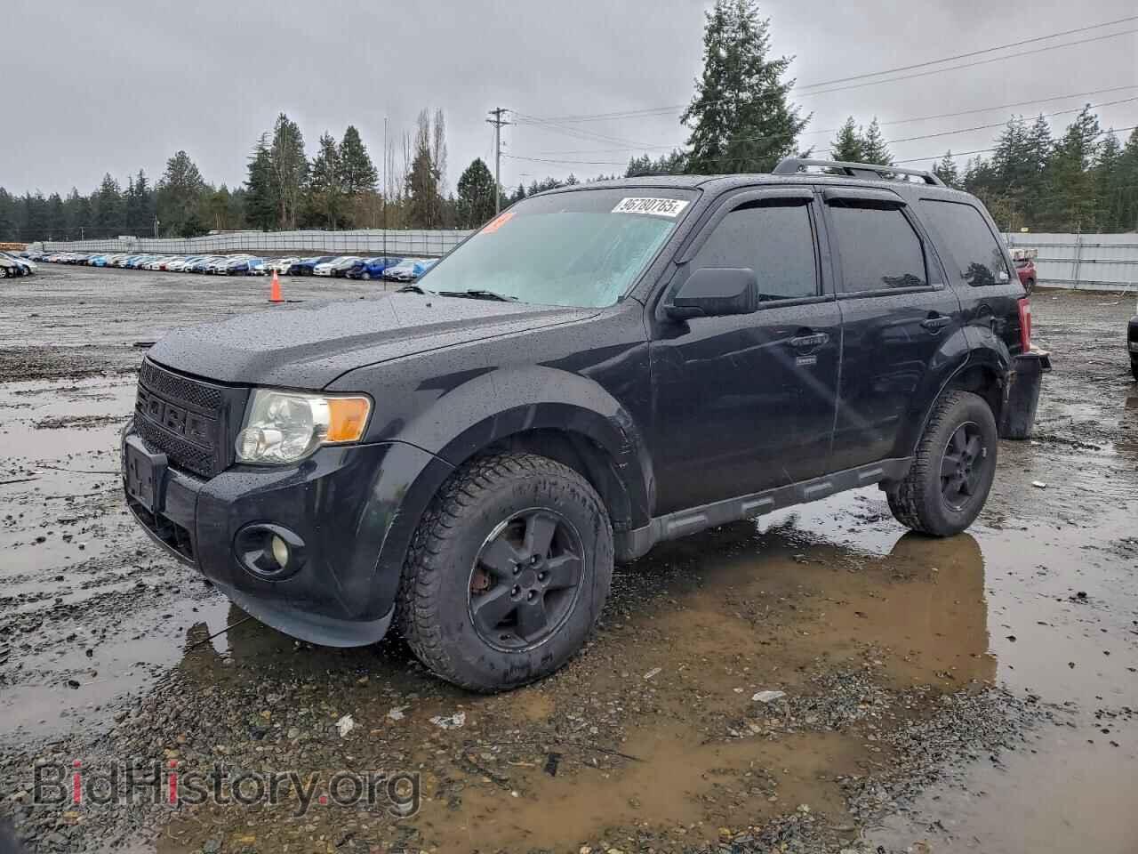 Photo 1FMCU0DG7BKA33699 - FORD ESCAPE 2011