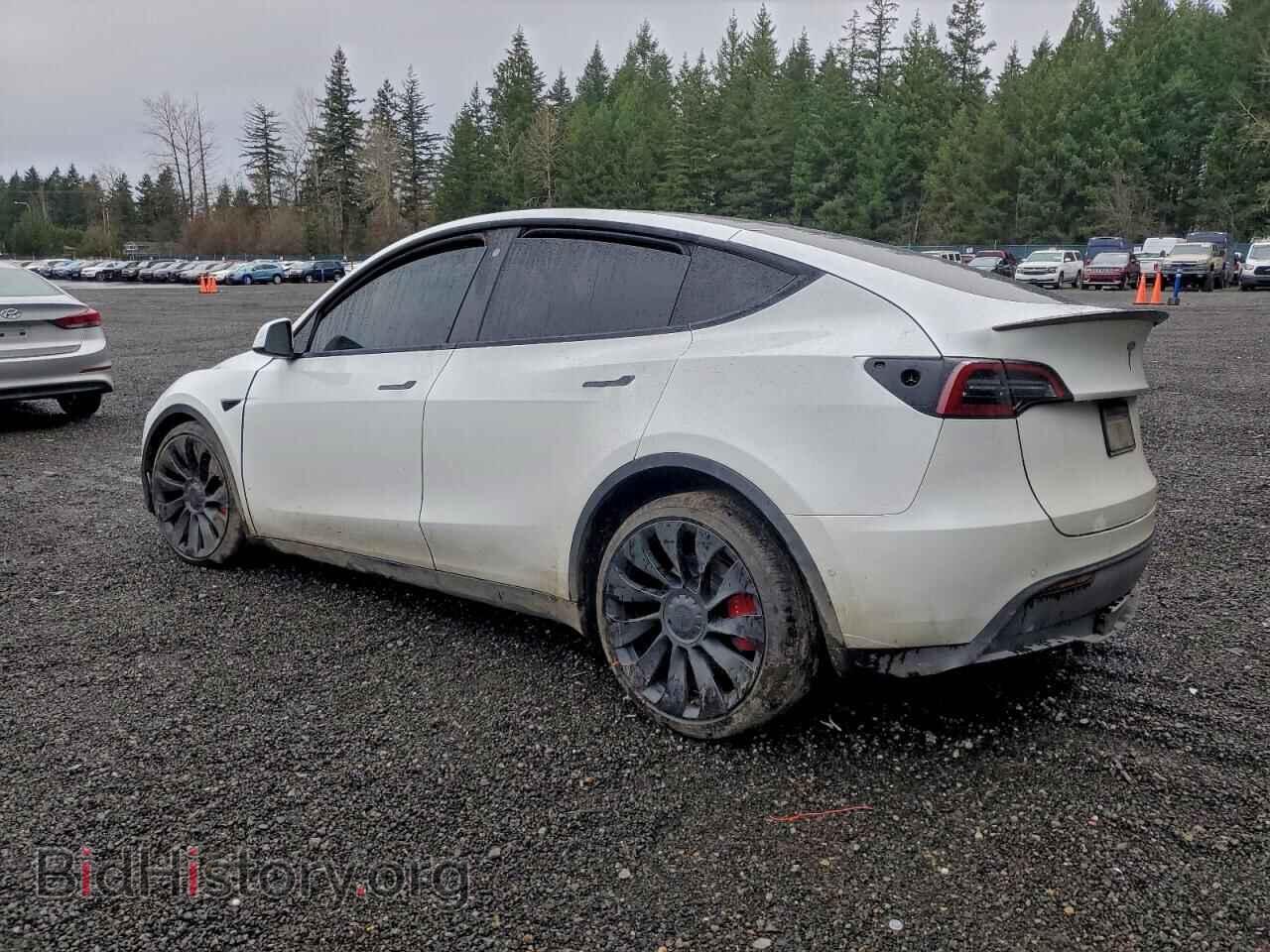 2022 TESLA MODEL Y - VIN: 7SAYGDEF6NF488742 - Фото 2