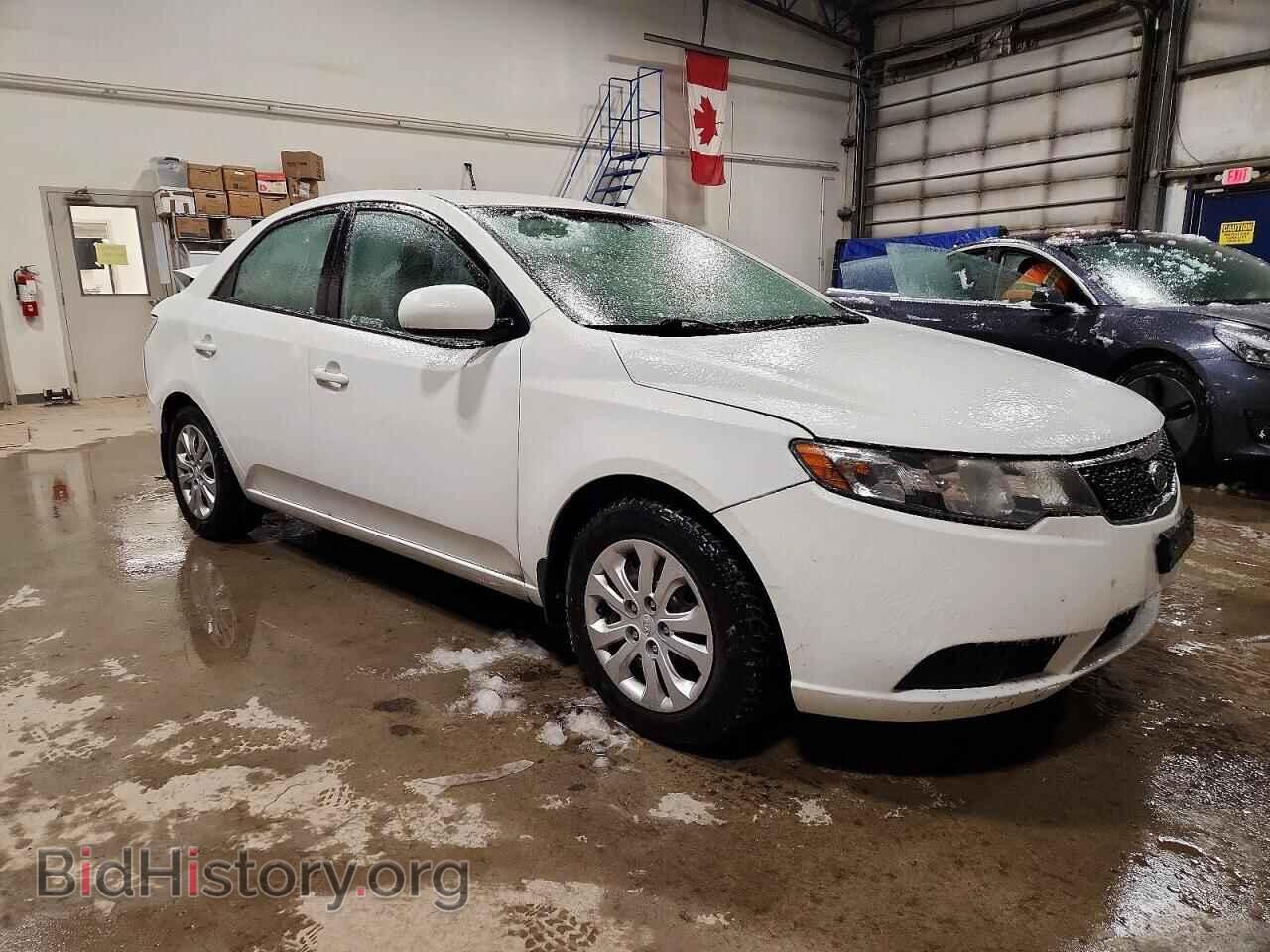 2013 KIA FORTE - VIN: KNAFT4A22D5661186 - Фото 4
