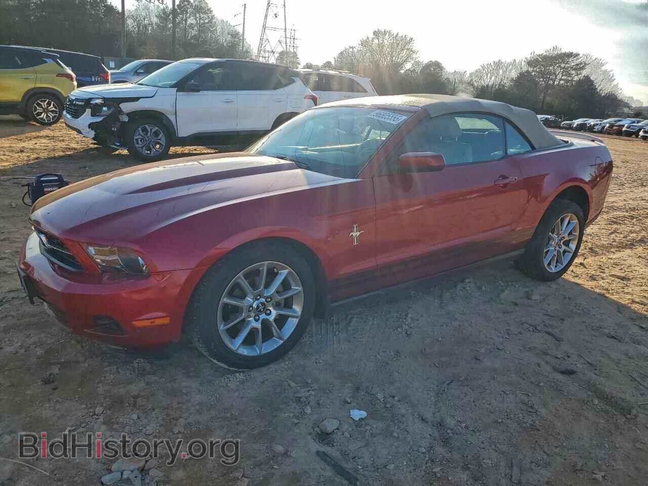 Photo 1ZVBP8EN4A5123809 - FORD ALL Models 2010