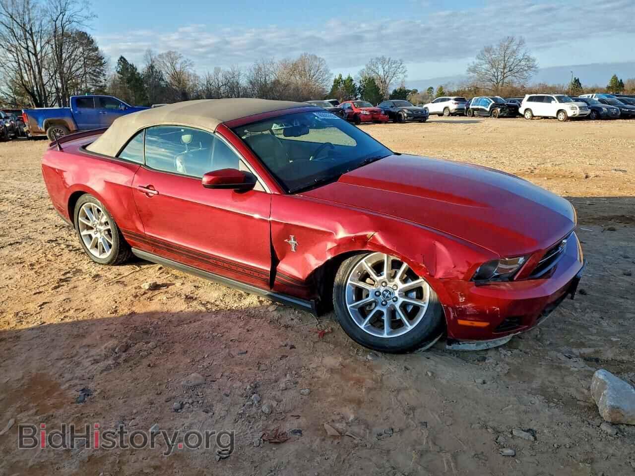 2010 FORD ALL Models - VIN: 1ZVBP8EN4A5123809 - Фото 4