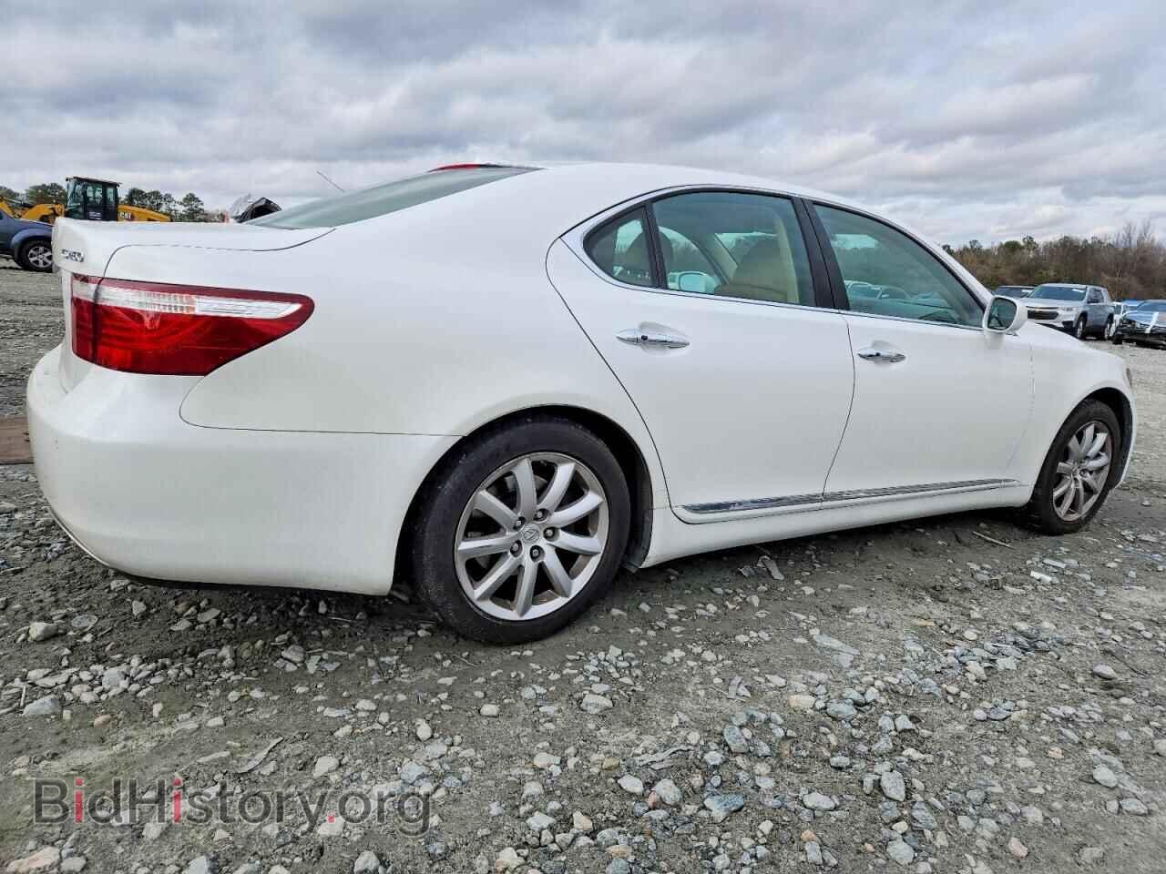 2009 LEXUS LS460 - VIN: JTHBL46F395091380 - Фото 3