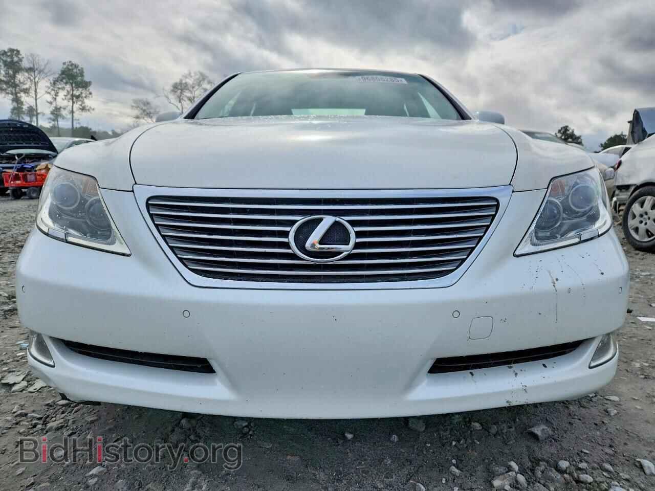 2009 LEXUS LS460 - VIN: JTHBL46F395091380 - Фото 5