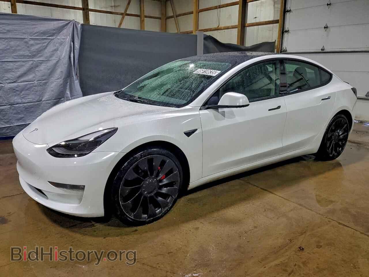 Фотография 5YJ3E1EC4PF421237 - TESLA MODEL 3 2023