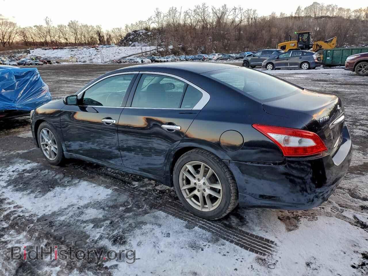 2010 NISSAN MAXIMA - VIN: 1N4AA5AP0AC823348 - Фото 2