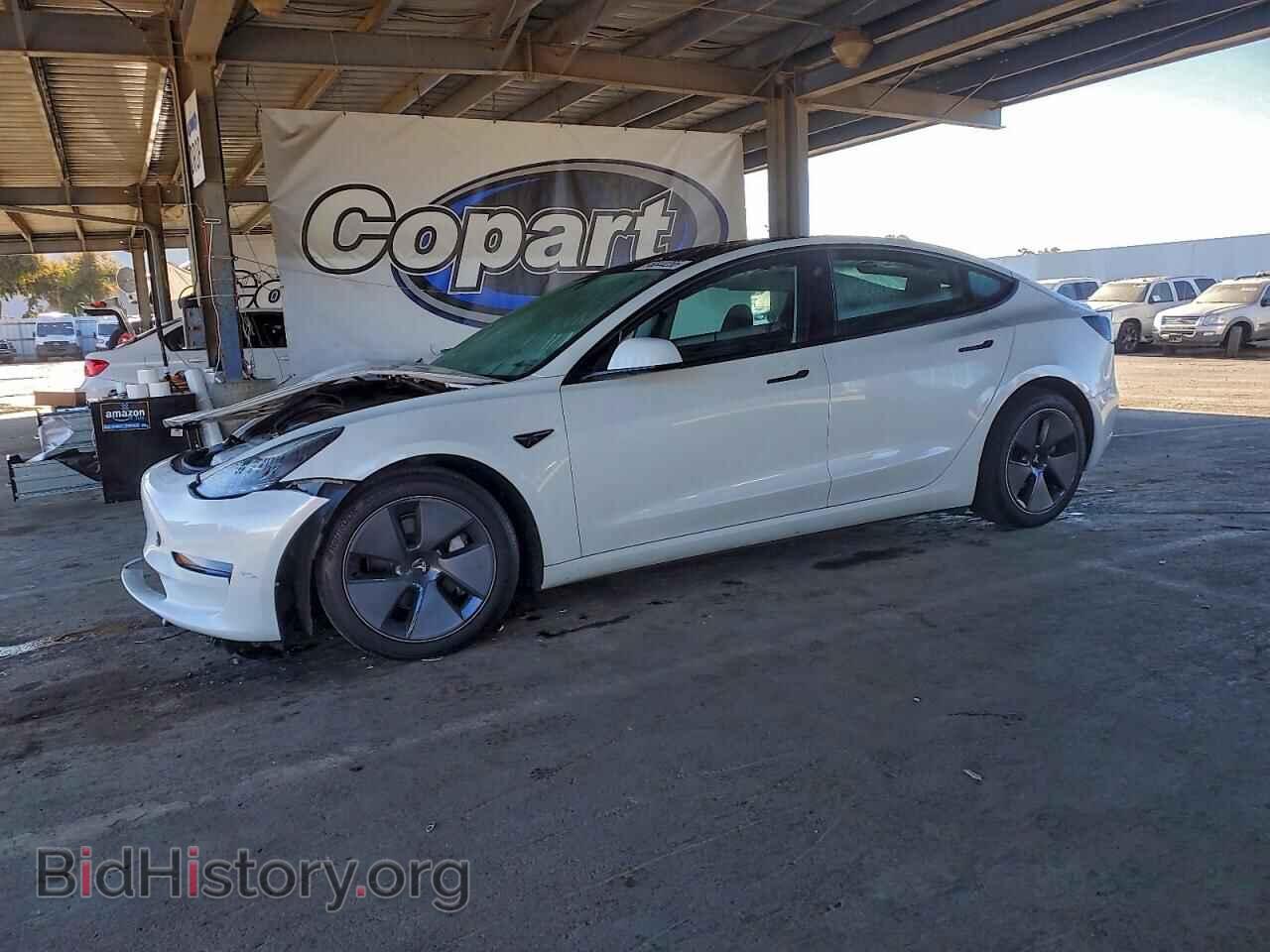 Photo 5YJ3E1EB3PF671270 - TESLA MODEL 3 2023