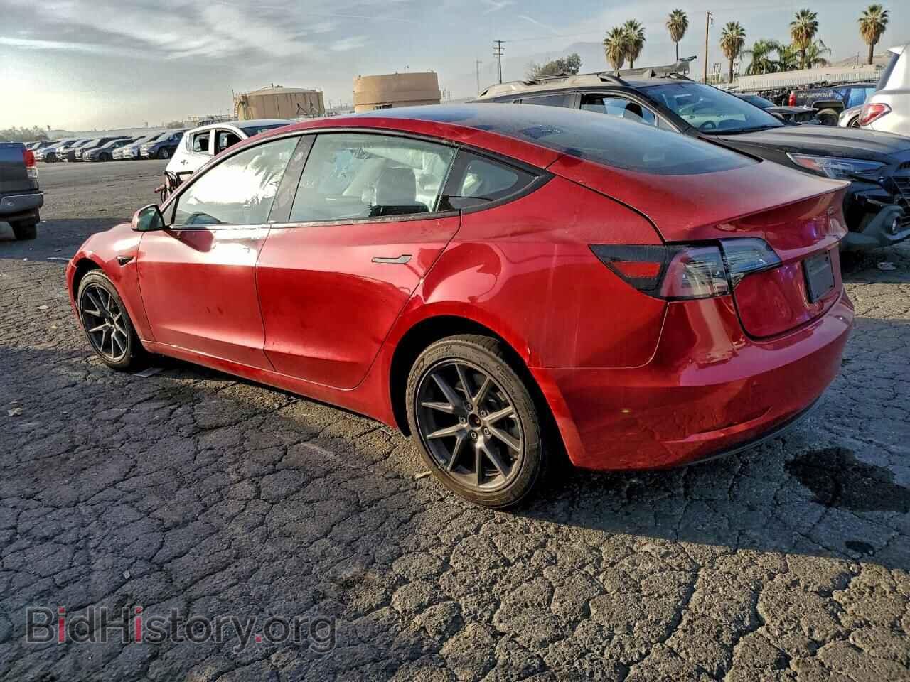 2023 TESLA MODEL 3 - VIN: 5YJ3E1EA4PF452566 - Фото 2