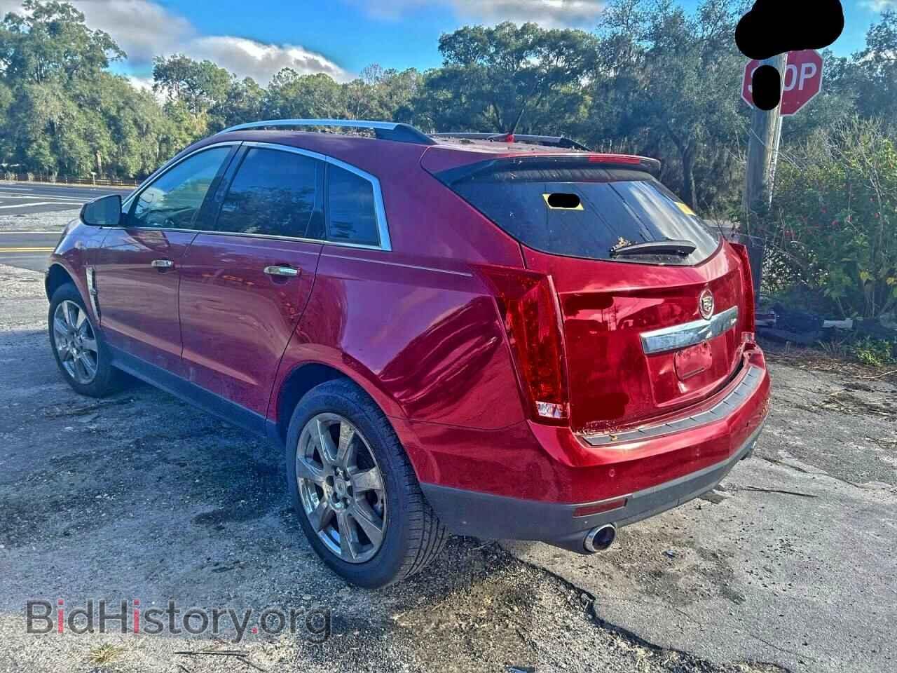 2010 CADILLAC SRX - VIN: 3GYFNJE4XAS605046 - Фото 3