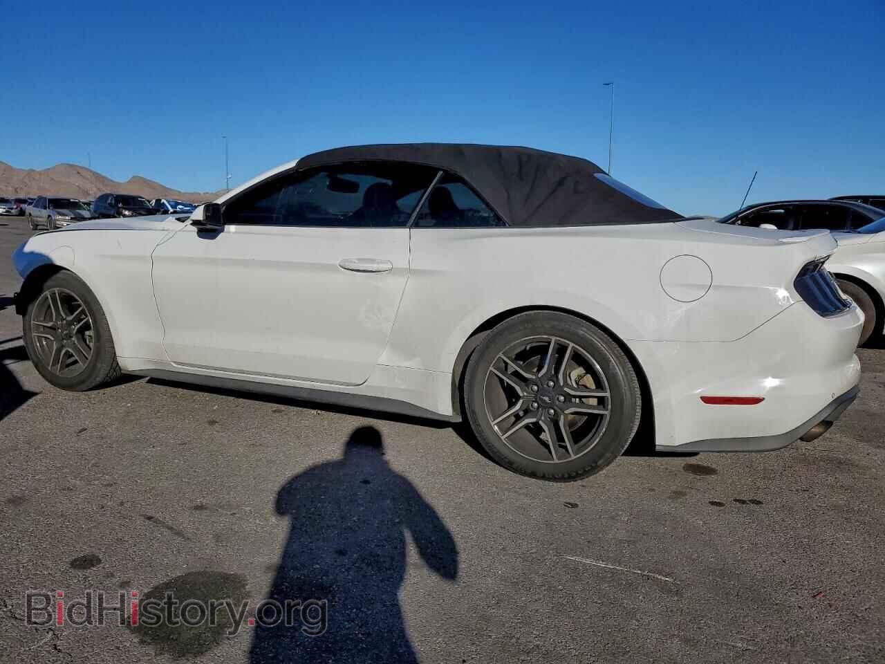 2019 FORD ALL Models - VIN: 1FATP8UHXK5158350 - Photo 2