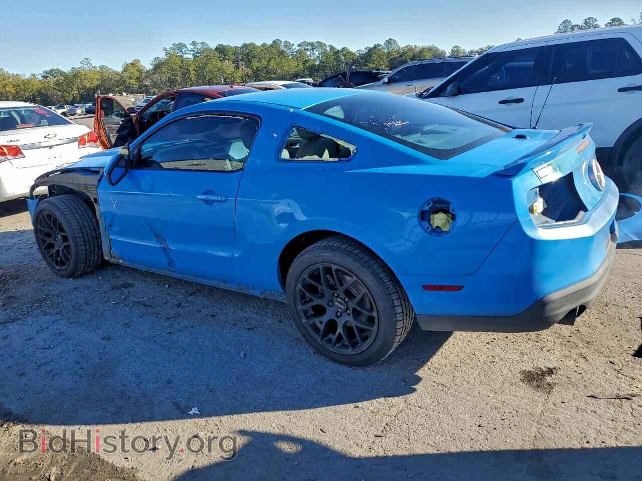 2010 FORD ALL Models - VIN: 1ZVBP8AN9A5169142 - Фото 2