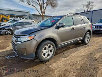 2013 Ford EDGE SEL, tan — VIN 2FMDK4JC3DBA14826, Copart