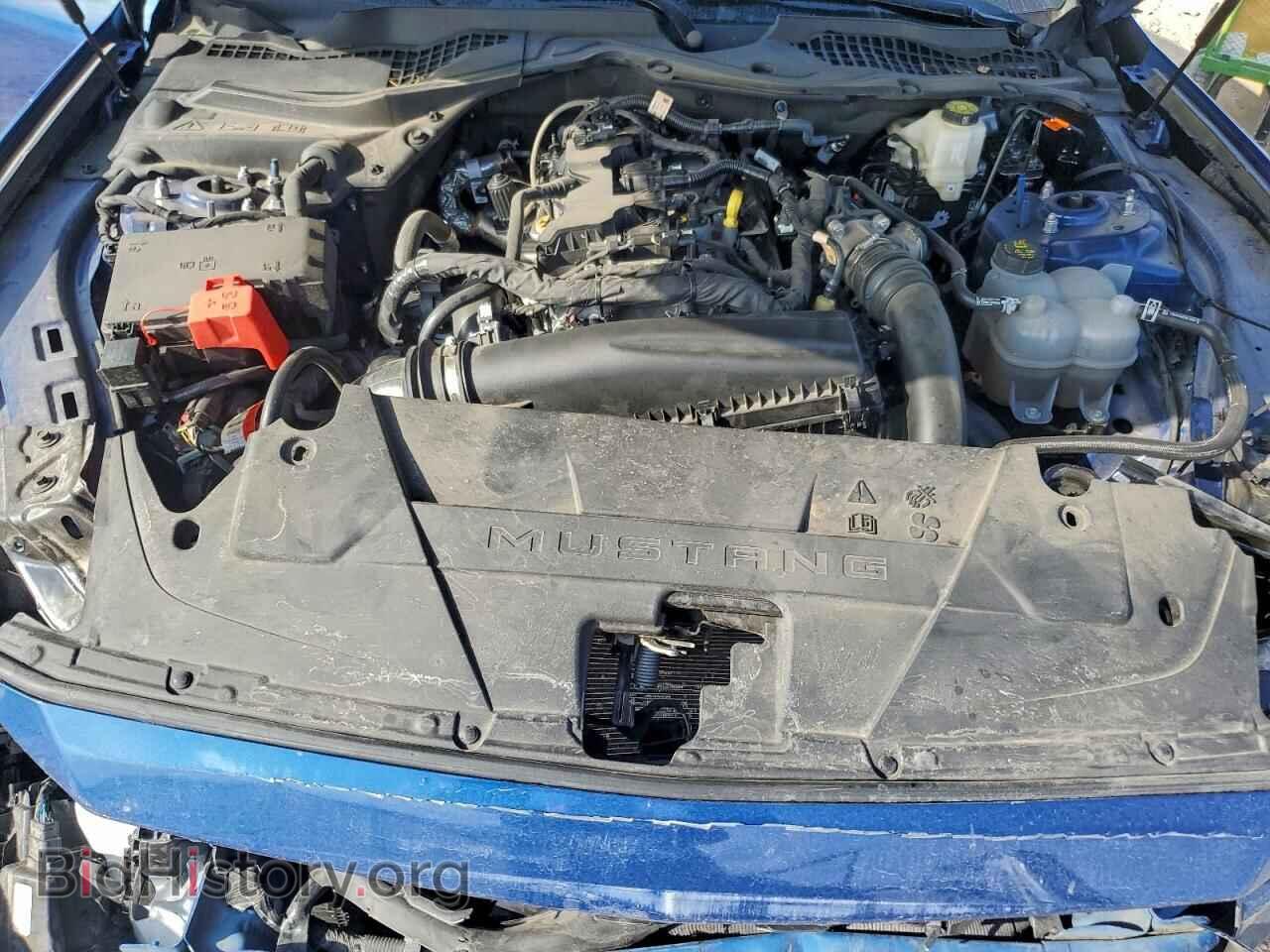 2024 FORD ALL Models - VIN: 1FA6P8TH4R5143187 - Фото 11
