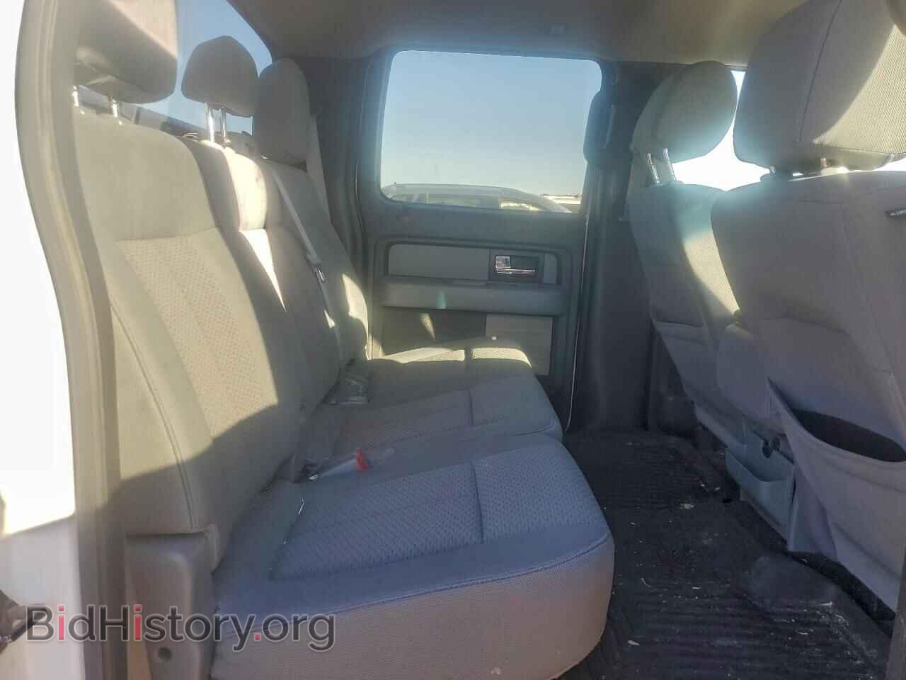 2013 FORD F-150 - VIN: 1FTFW1CT3DFD49810 - Фото 10