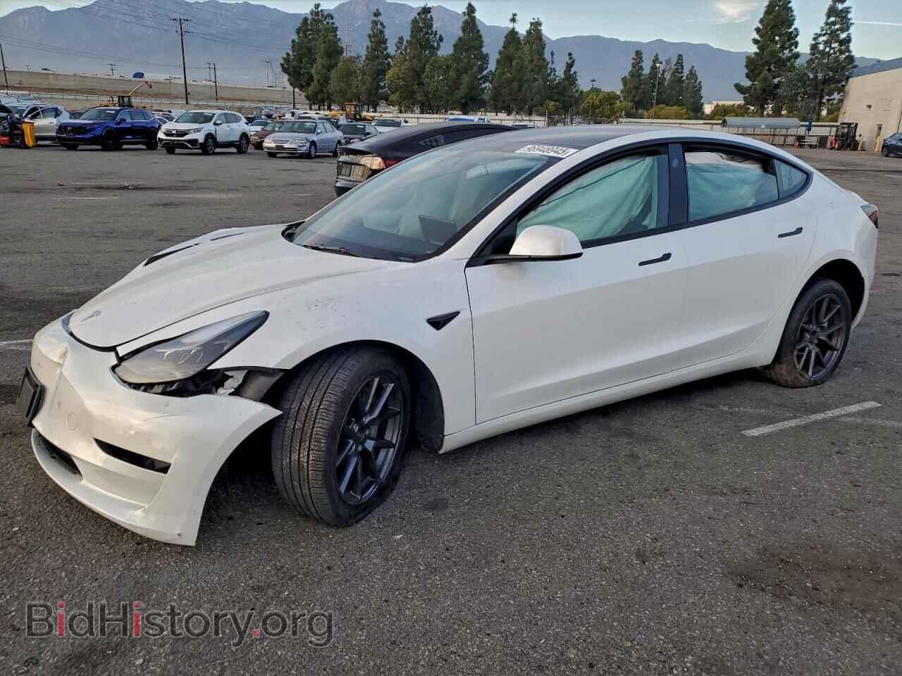 Photo 5YJ3E1EBXPF706953 - TESLA MODEL 3 2023