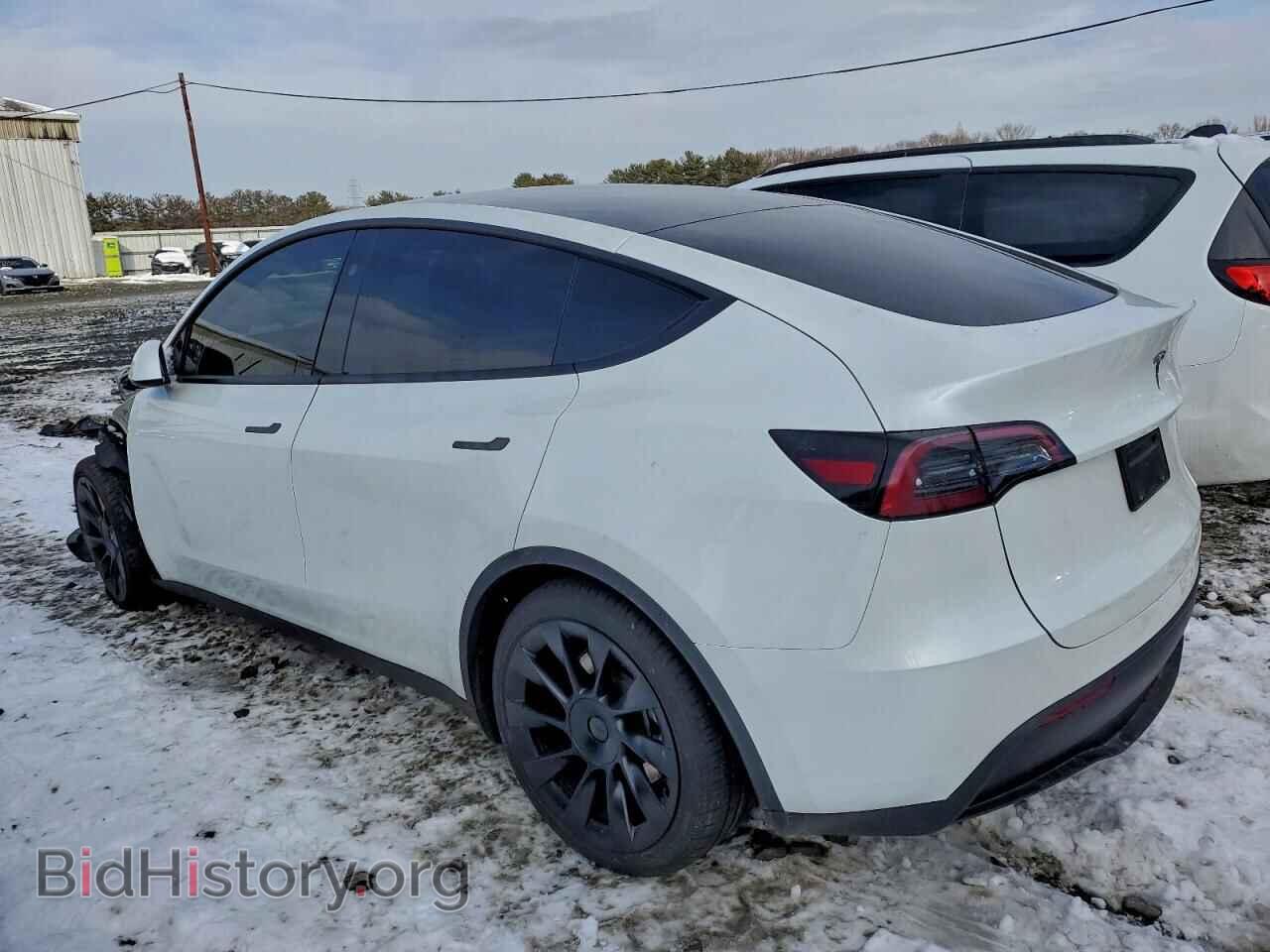 2024 TESLA MODEL Y - VIN: 7SAYGDEDXRF048687 - Фото 2