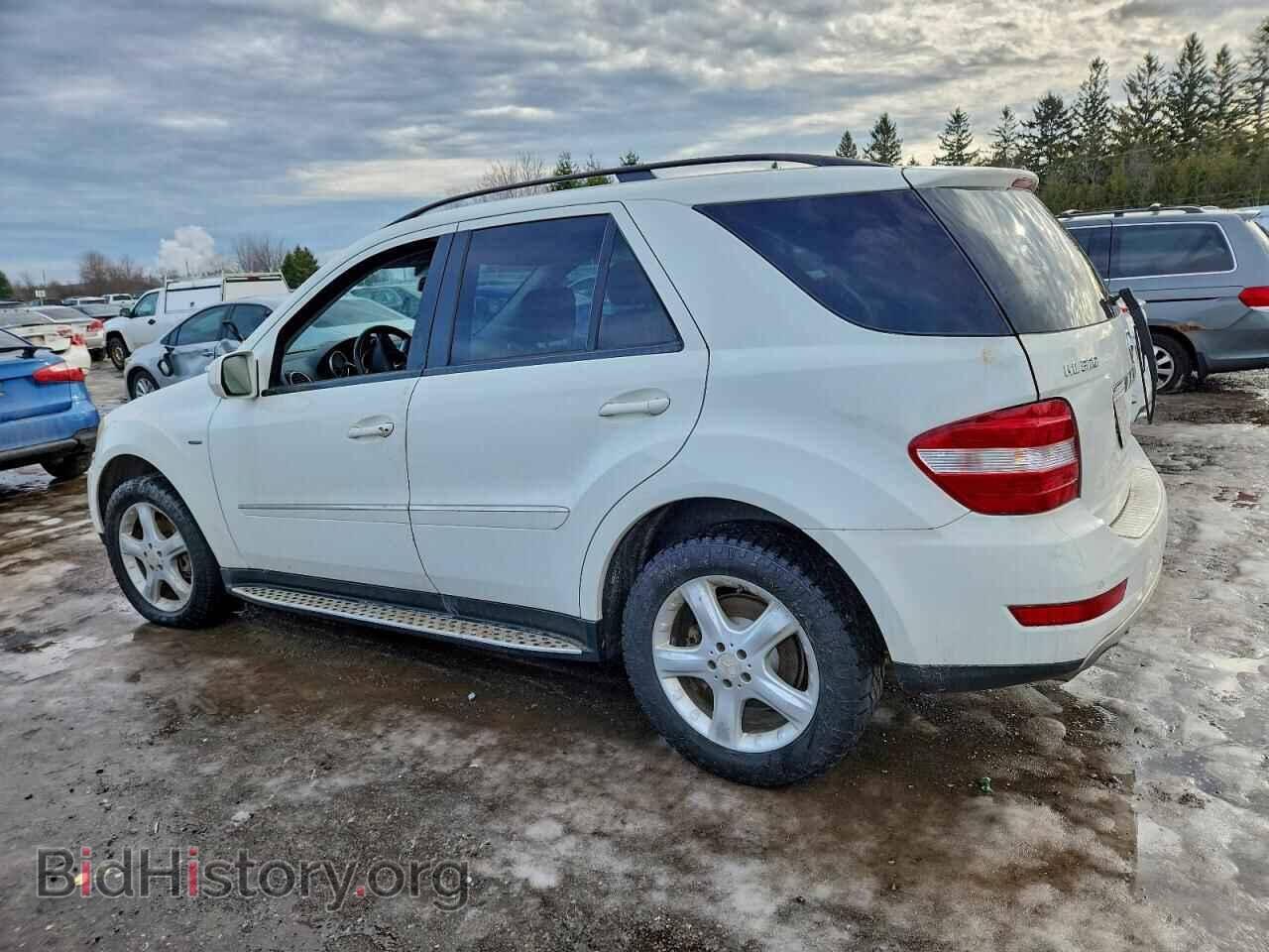 2009 MERCEDES-BENZ M-CLASS - VIN: 4JGBB25E49A526007 - Фото 2