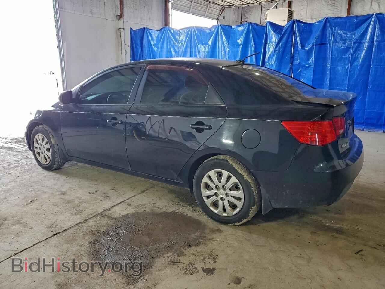 2013 KIA FORTE - VIN: KNAFT4A22D5661981 - Фото 2