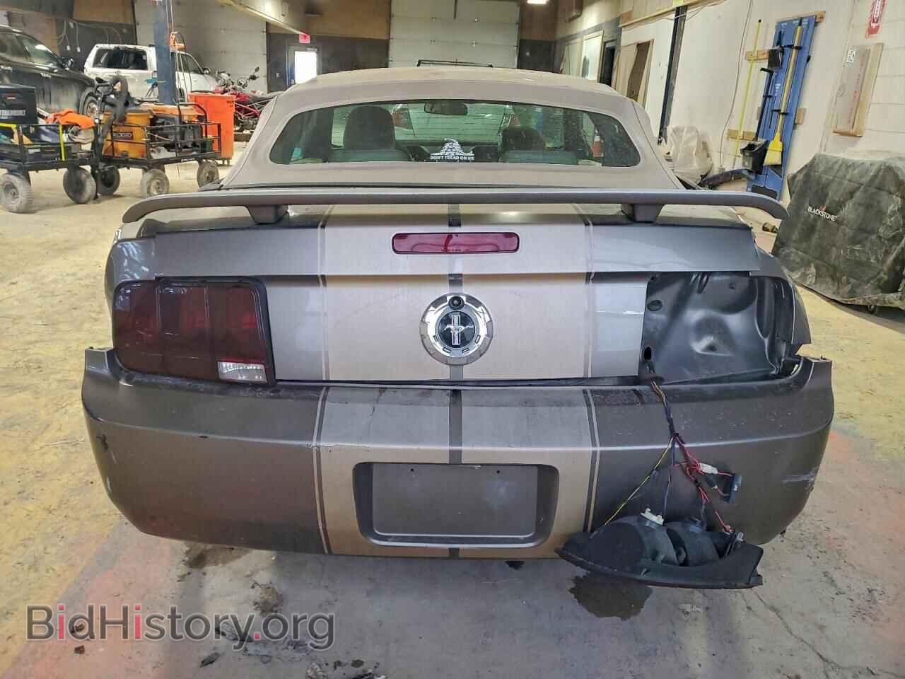 2005 FORD ALL Models - VIN: 1ZVFT84N355199767 - Фото 6