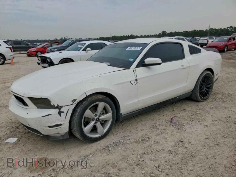 2012 Ford ALL MODELS (VIN 1ZVBP8AM8C5263653) — photo 1 of 12, Copart, damage: front end