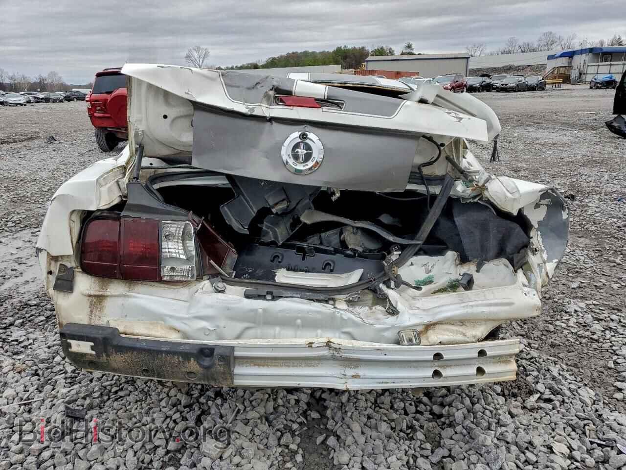 2005 FORD ALL Models - VIN: 1ZVFT80N455162135 - Фото 6