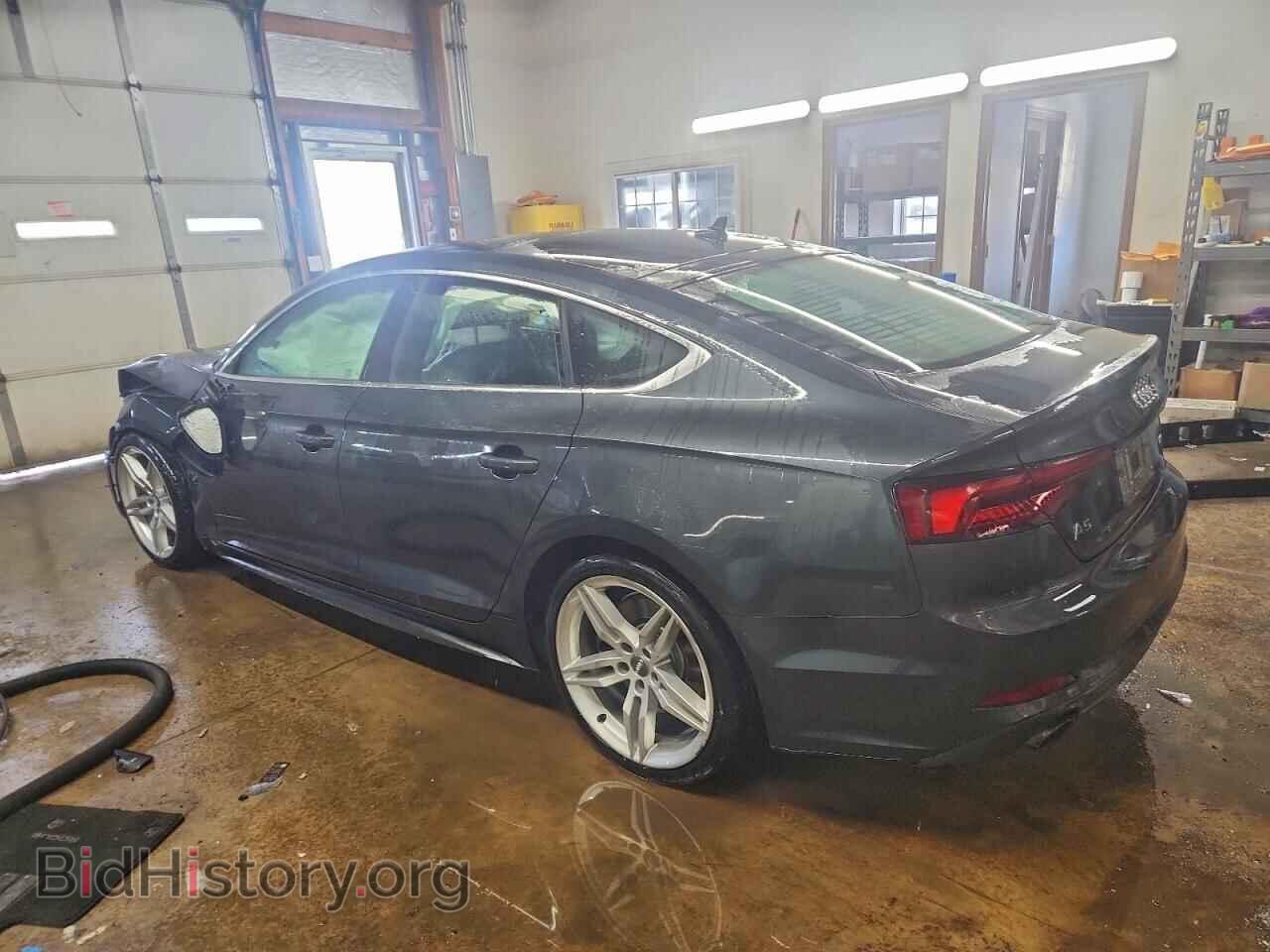 2019 AUDI A5 - VIN: WAUENCF54KA065455 - Фото 2