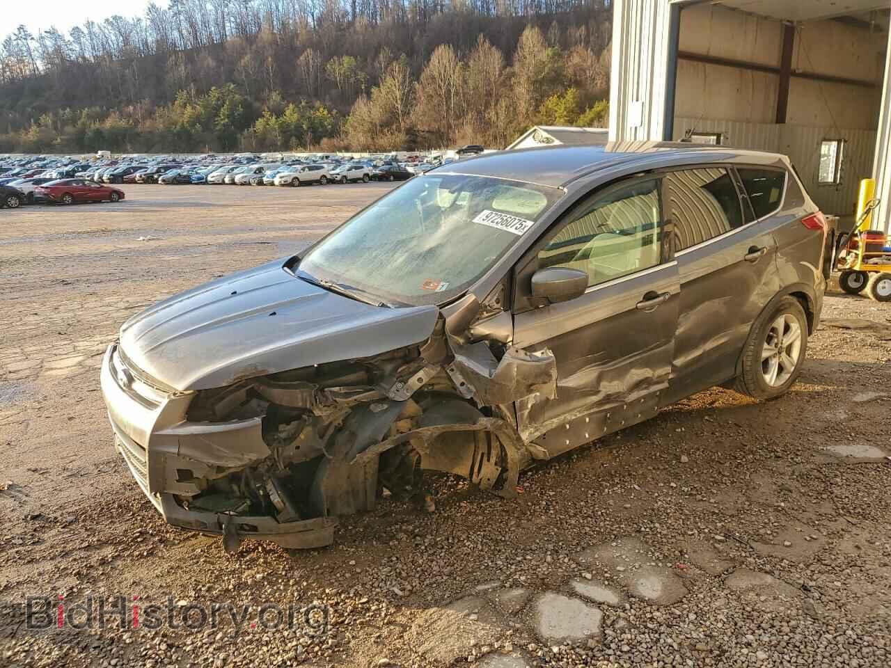 Photo 1FMCU9GX1EUD23543 - FORD ESCAPE 2014