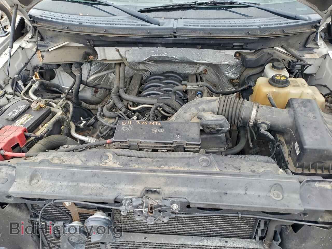 2012 FORD F-150 - VIN: 1FTFW1EF1CFA03311 - Фото 11