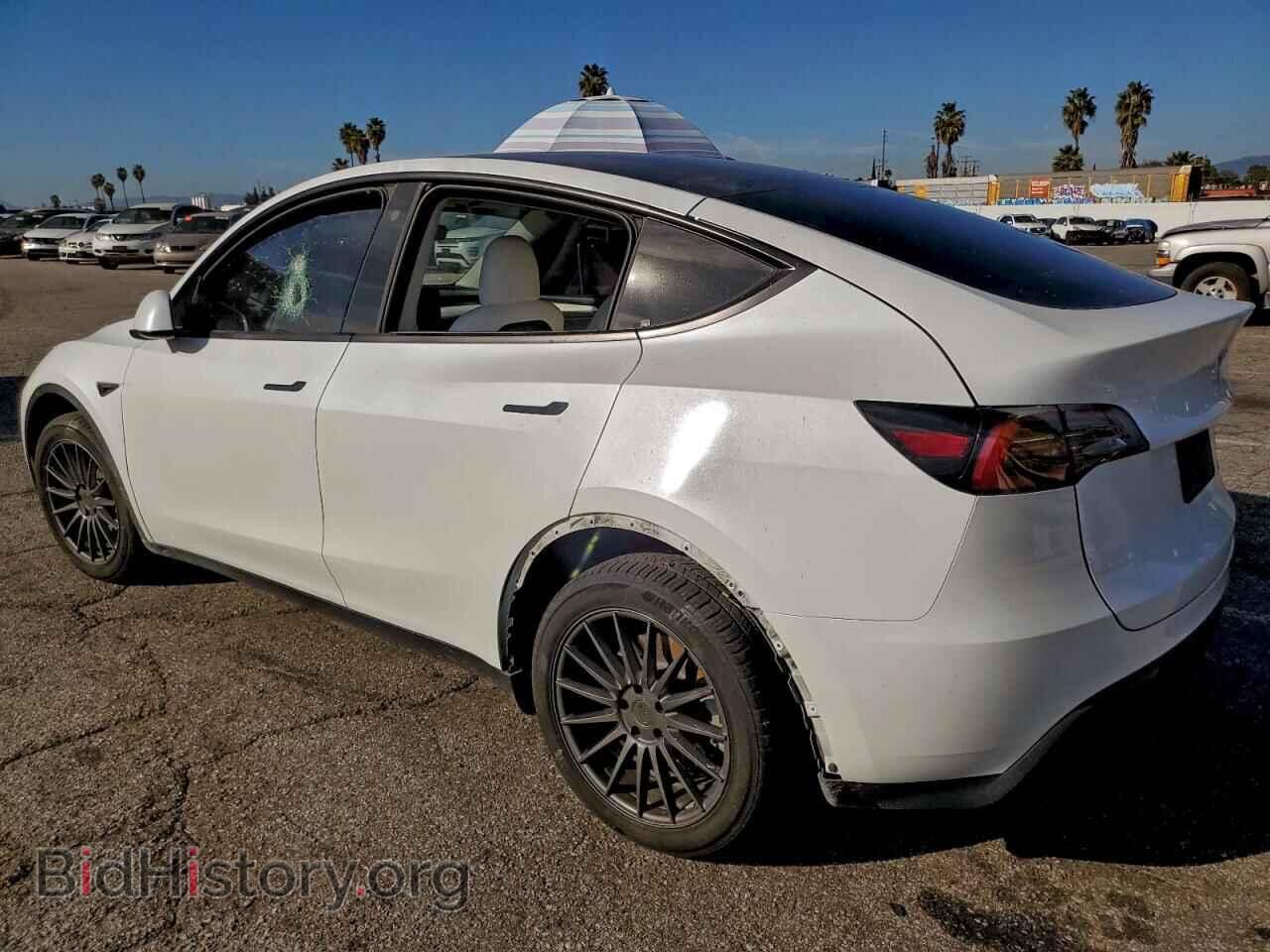 2023 TESLA MODEL Y - VIN: 7SAYGDEE6PF629514 - Фото 2