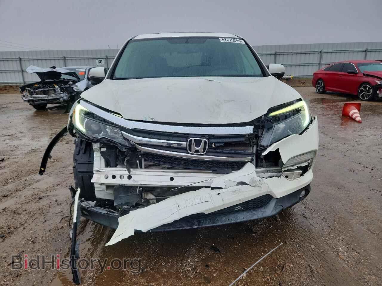 2017 HONDA PILOT - VIN: 5FNYF5H56HB044273 - Фото 5