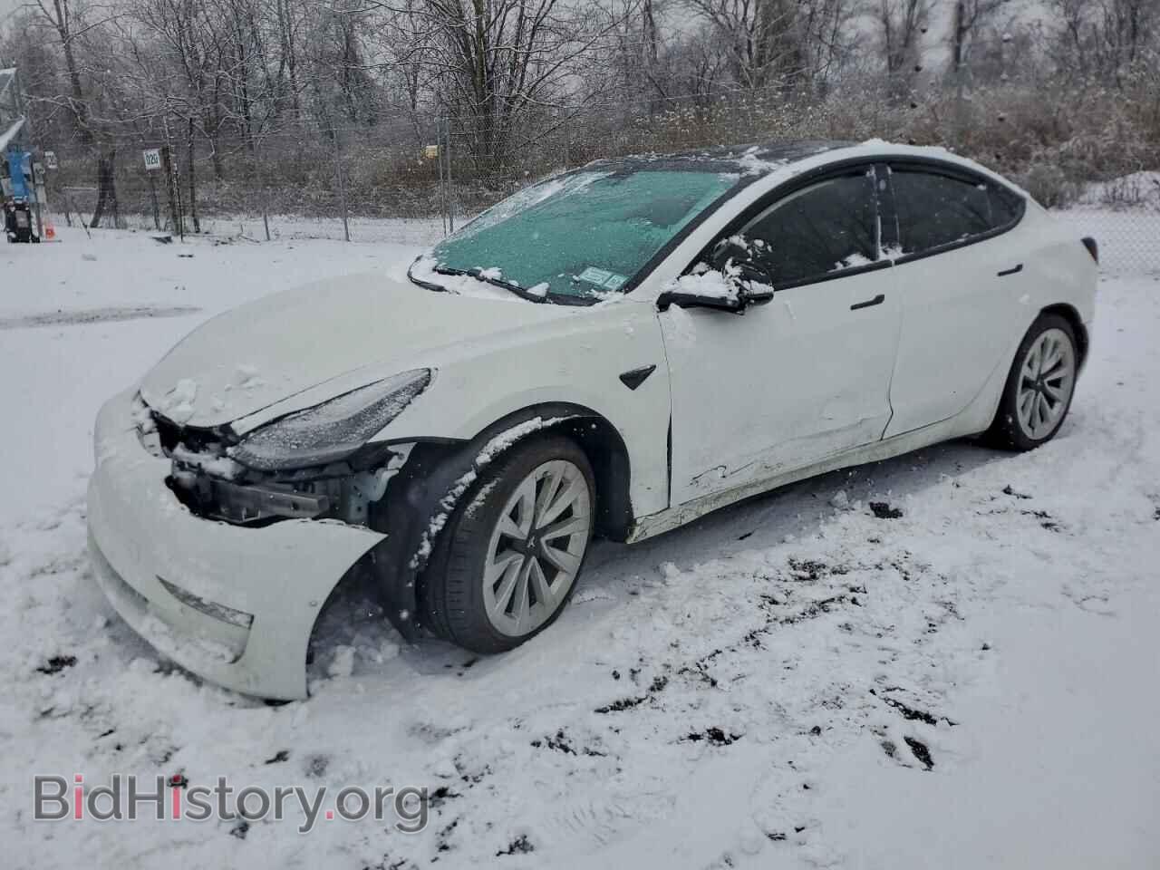 Photo 5YJ3E1EAXMF856774 - TESLA MODEL 3 2021