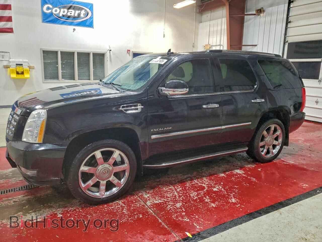 Photo 1GYS4BEF5BR294705 - CADILLAC ESCALADE 2011