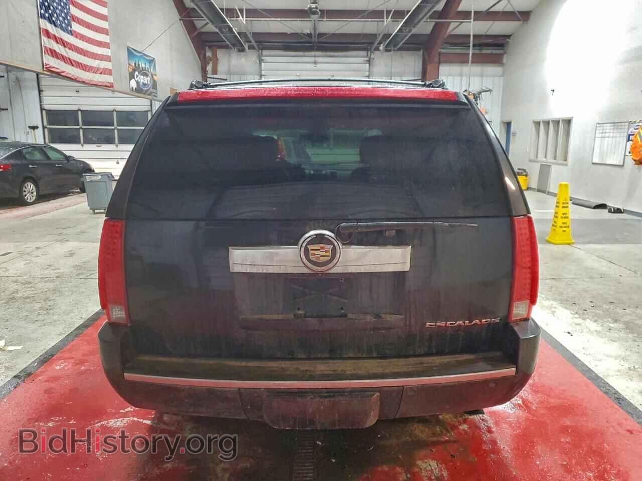2011 CADILLAC ESCALADE - VIN: 1GYS4BEF5BR294705 - Фото 6