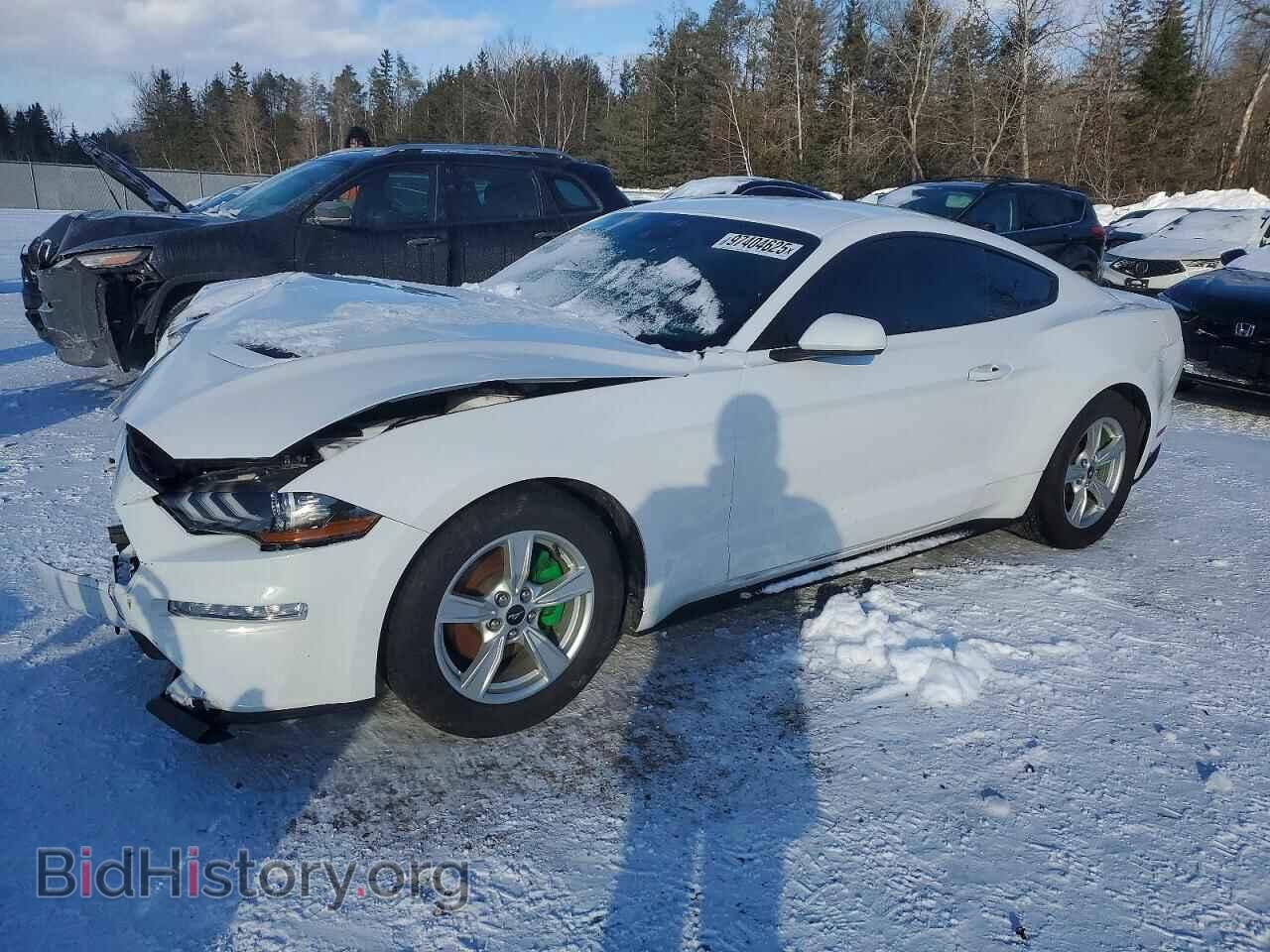 Photo 1FA6P8TH4N5115156 - FORD ALL Models 2022