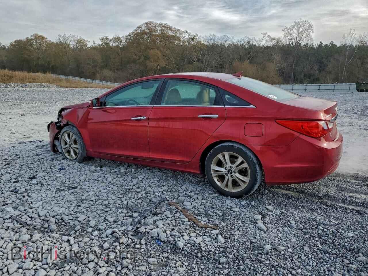 2011 HYUNDAI SONATA - VIN: 5NPEC4AC6BH291638 - Фото 2