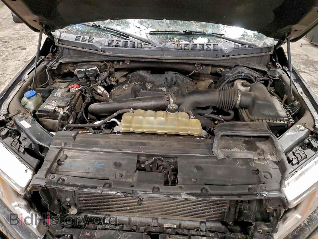 2019 FORD F-150 - VIN: 1FTEW1E43KFC14972 - Фото 11