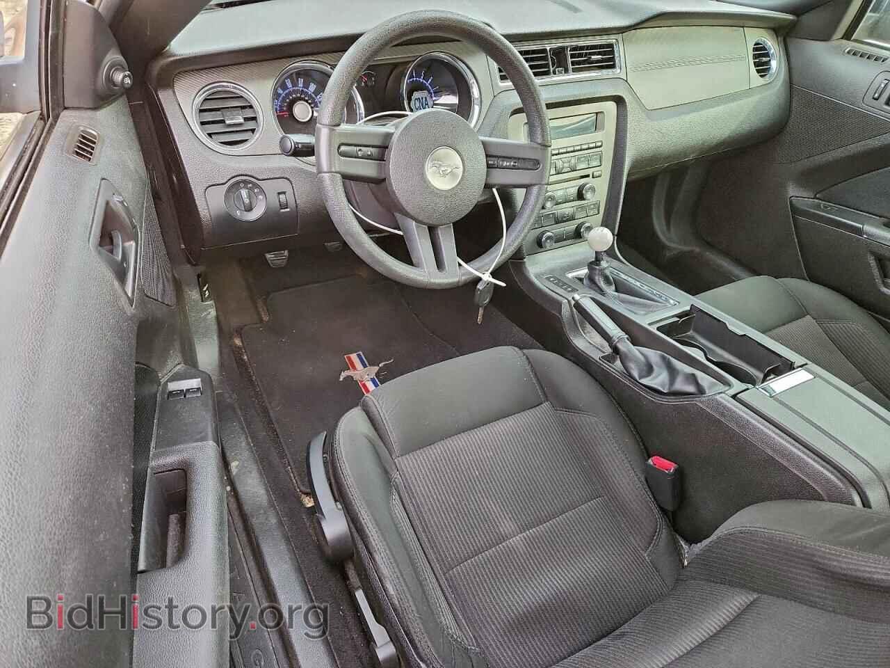 2010 FORD MUSTANG - VIN: 1ZVBP8CH7A5146143 - Фото 8