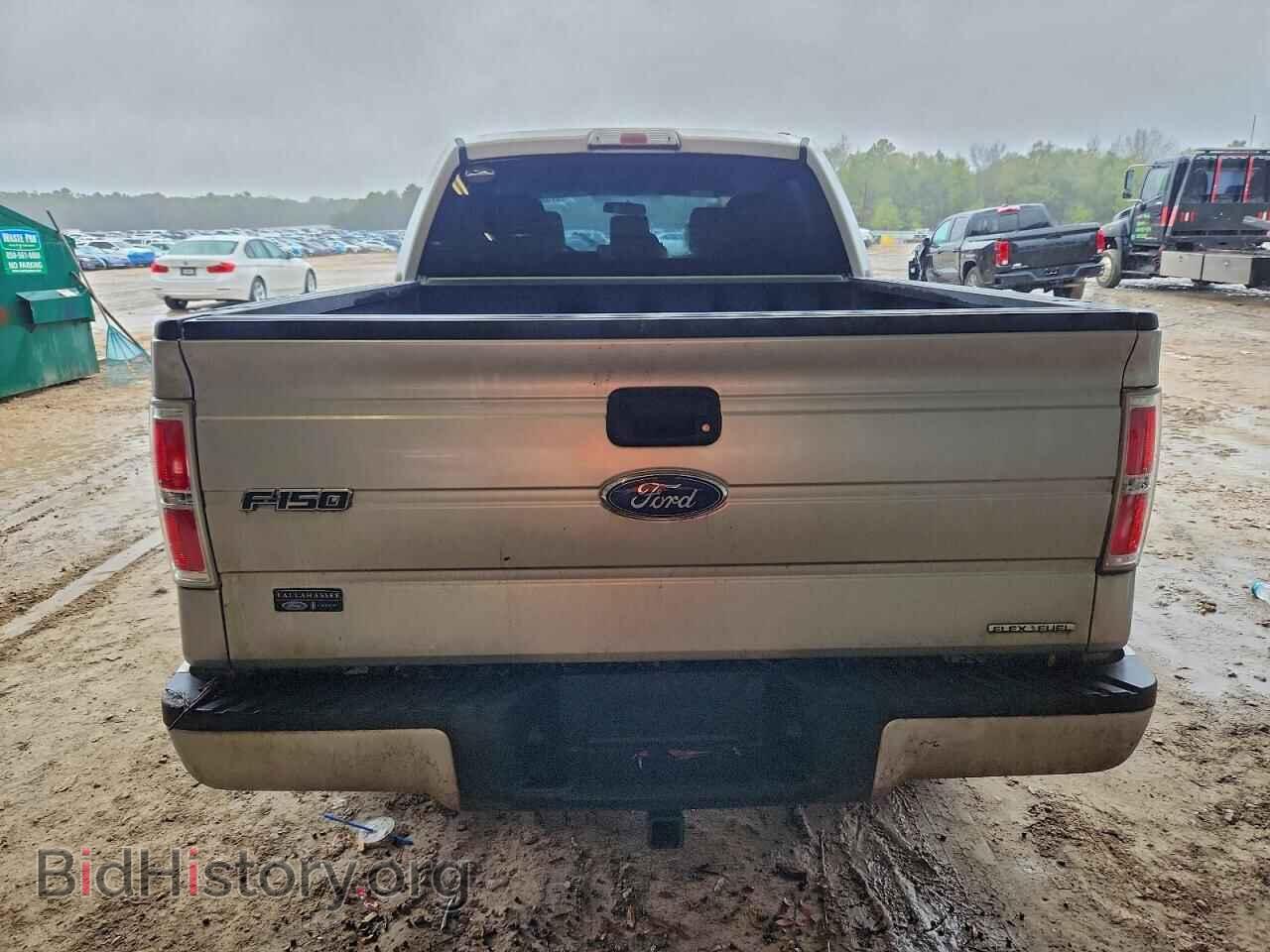 2014 FORD F-150 - VIN: 1FTEW1CM2EFA75604 - Фото 6