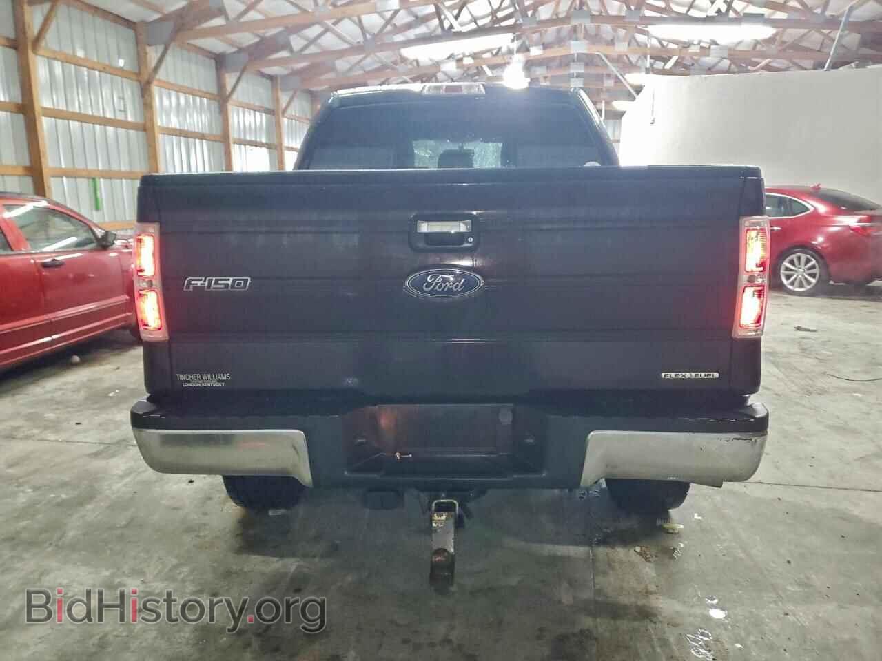2013 FORD F-150 - VIN: 1FTFW1EF9DFC61724 - Фото 6