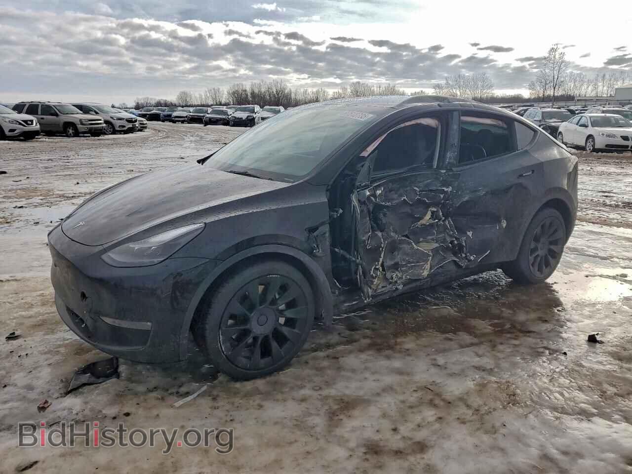 Фотография 7SAYGDEE5RA313862 - TESLA MODEL Y 2024