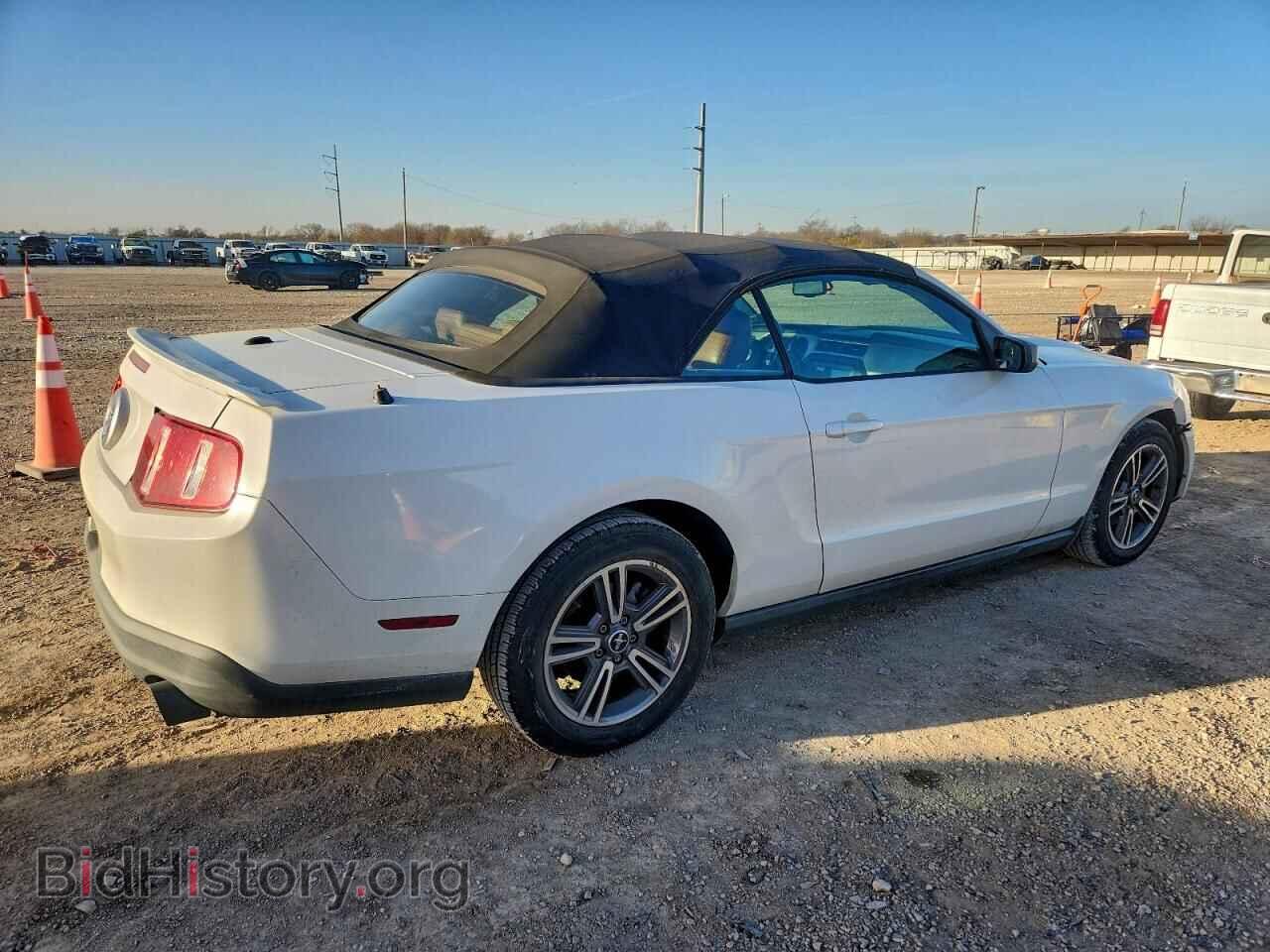 2010 FORD ALL Models - VIN: 1ZVBP8EN8A5173970 - Фото 3