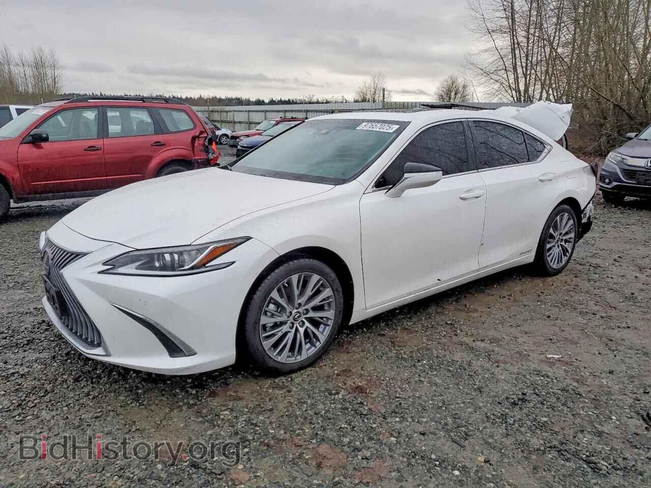 Photo 58ADA1C14MU005634 - LEXUS ES300 2021